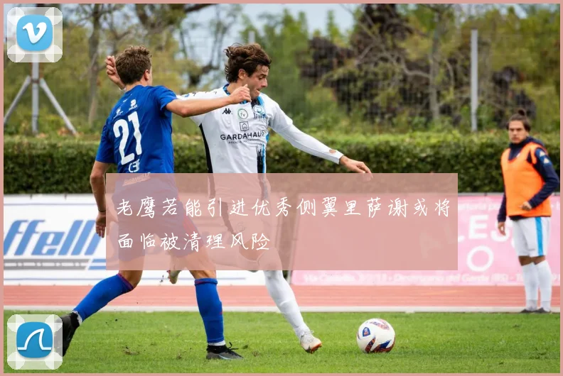 老鹰若能引进优秀侧翼里萨谢或将面临被清理风险