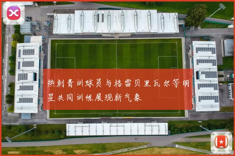 热刺青训球员与格雷贝里瓦尔等明星共同训练展现新气象
